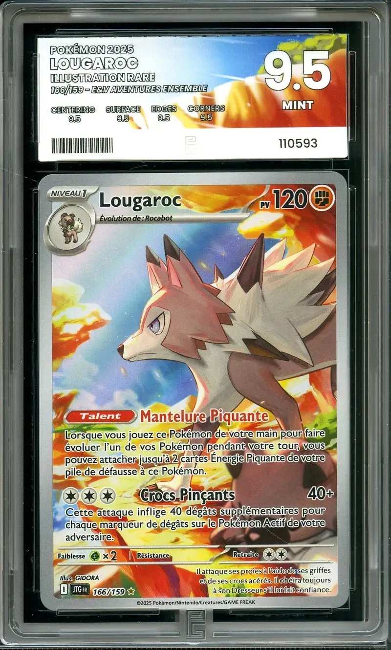 PG 9.5 Lougaroc