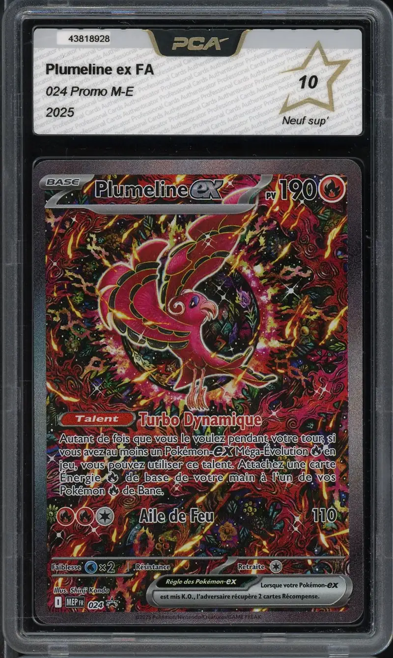 PCA 10 Plumeline Ex