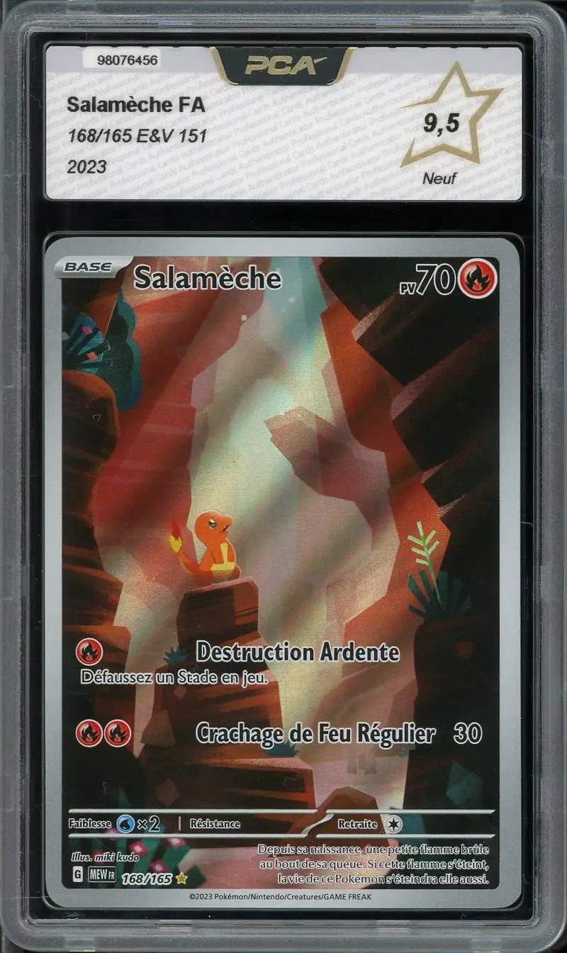 PCA 9.5 Salamèche
