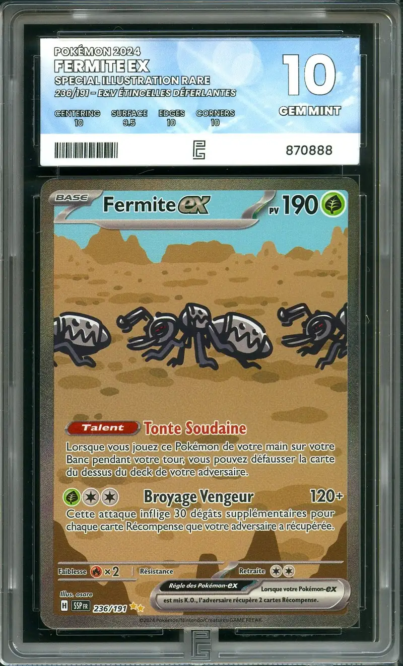 PG 10 Fermite Ex
