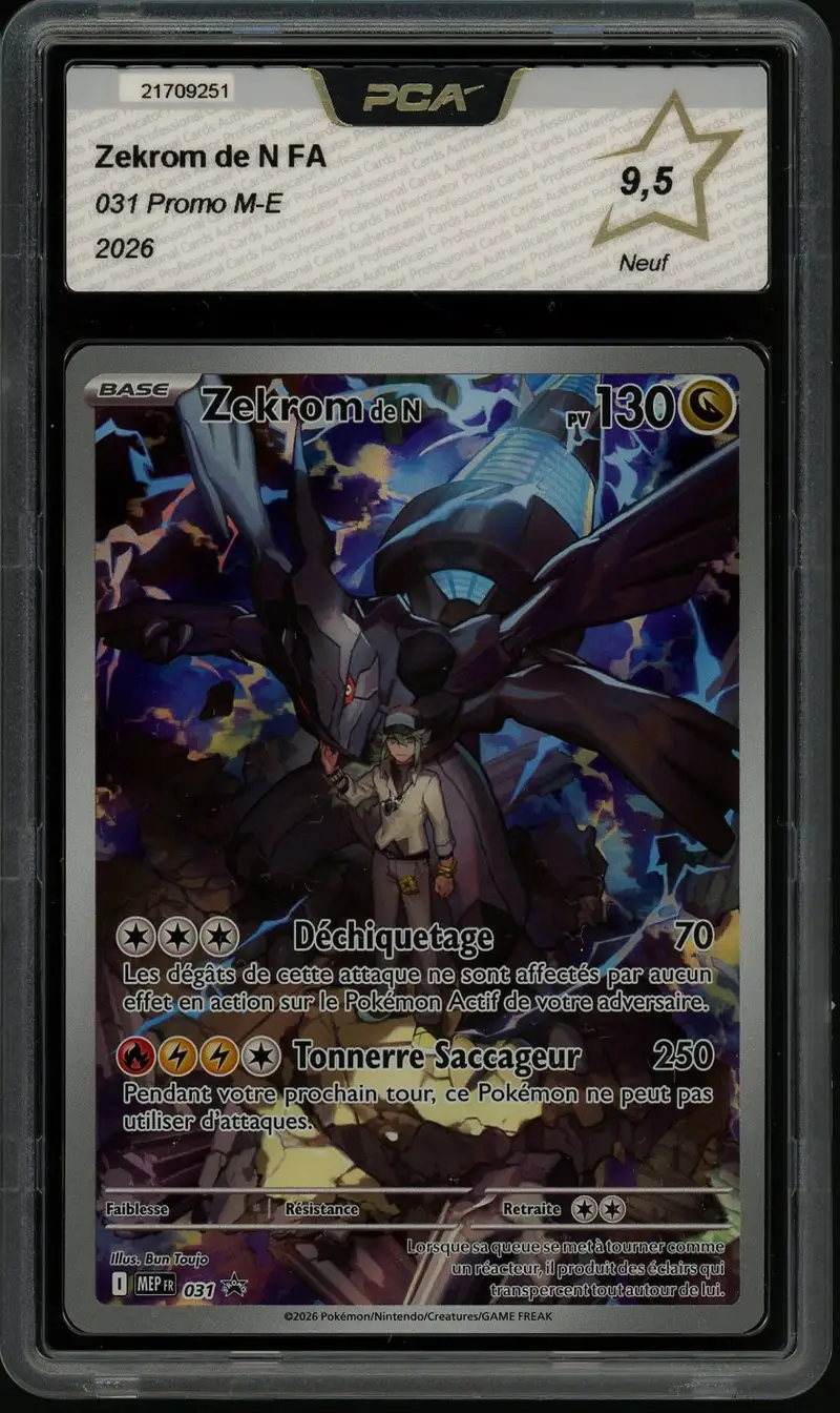 PCA 9.5 Zekrom de N