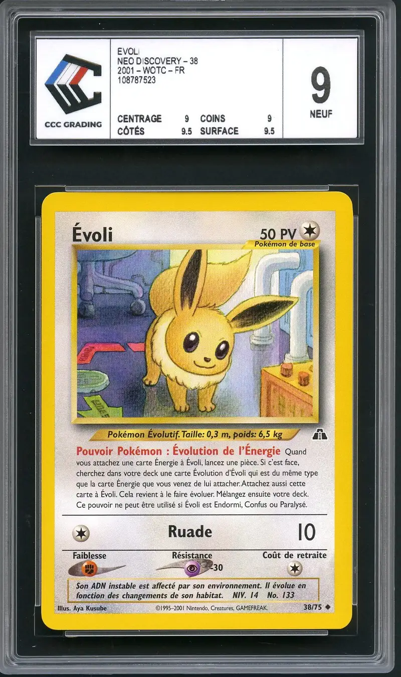 CCC 9 Evoli