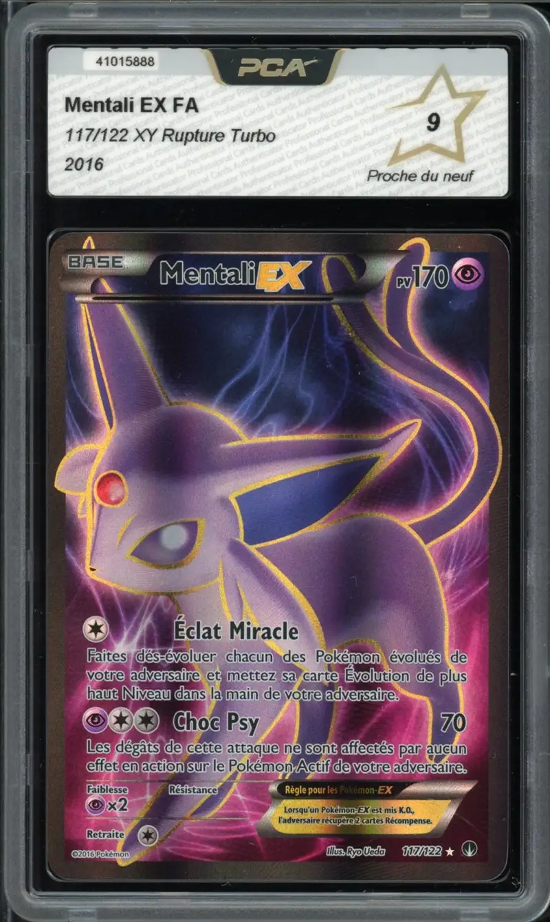 PCA 9 Mentali Ex