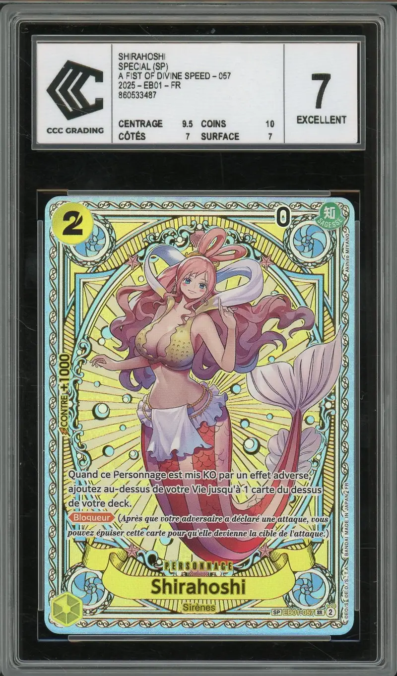 CCC 7 Shirahoshi