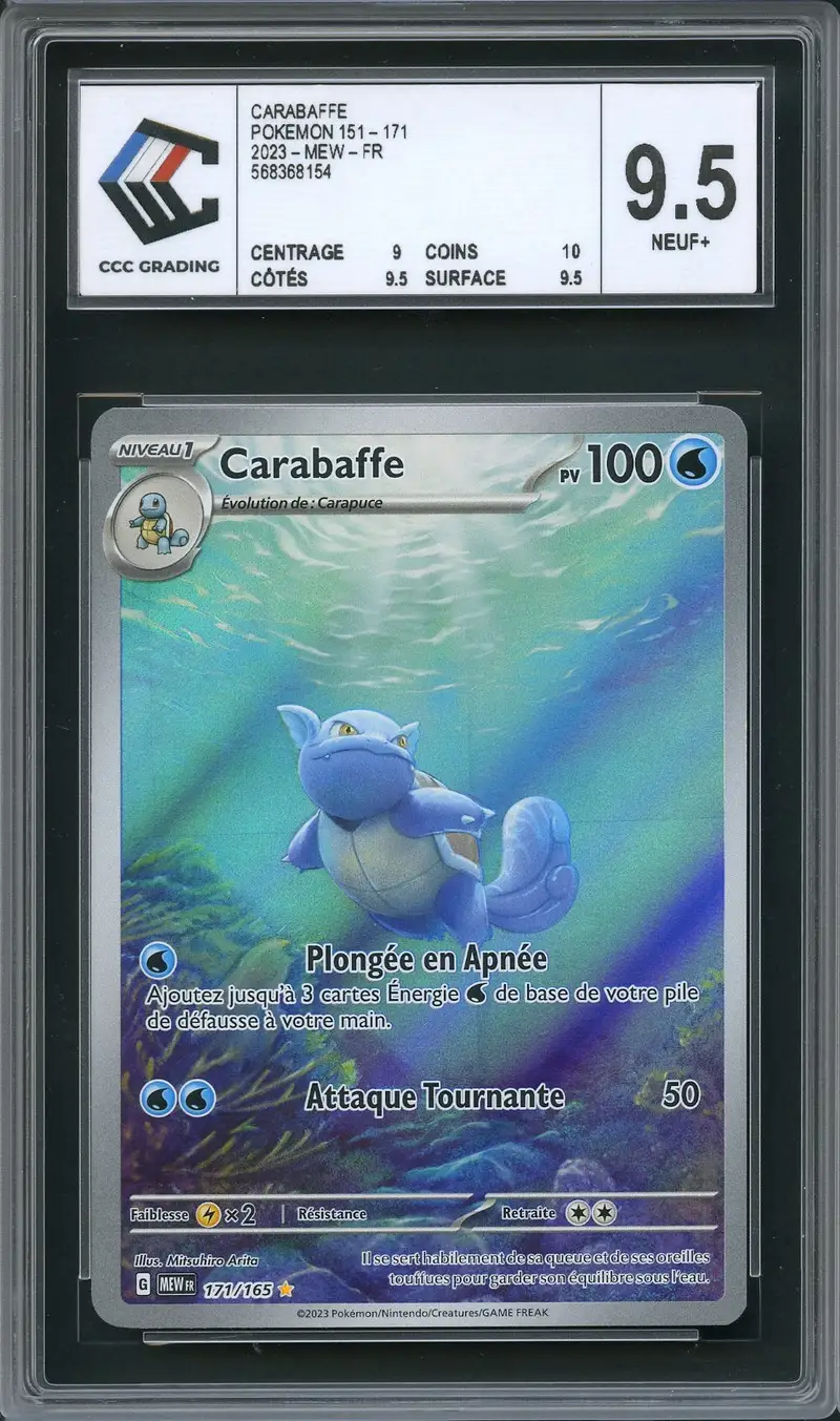 CCC 9.5 Carabaffe
