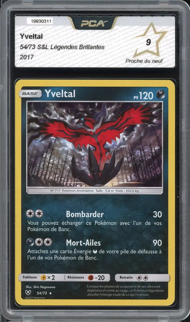 PCA 9 Yveltal Holo