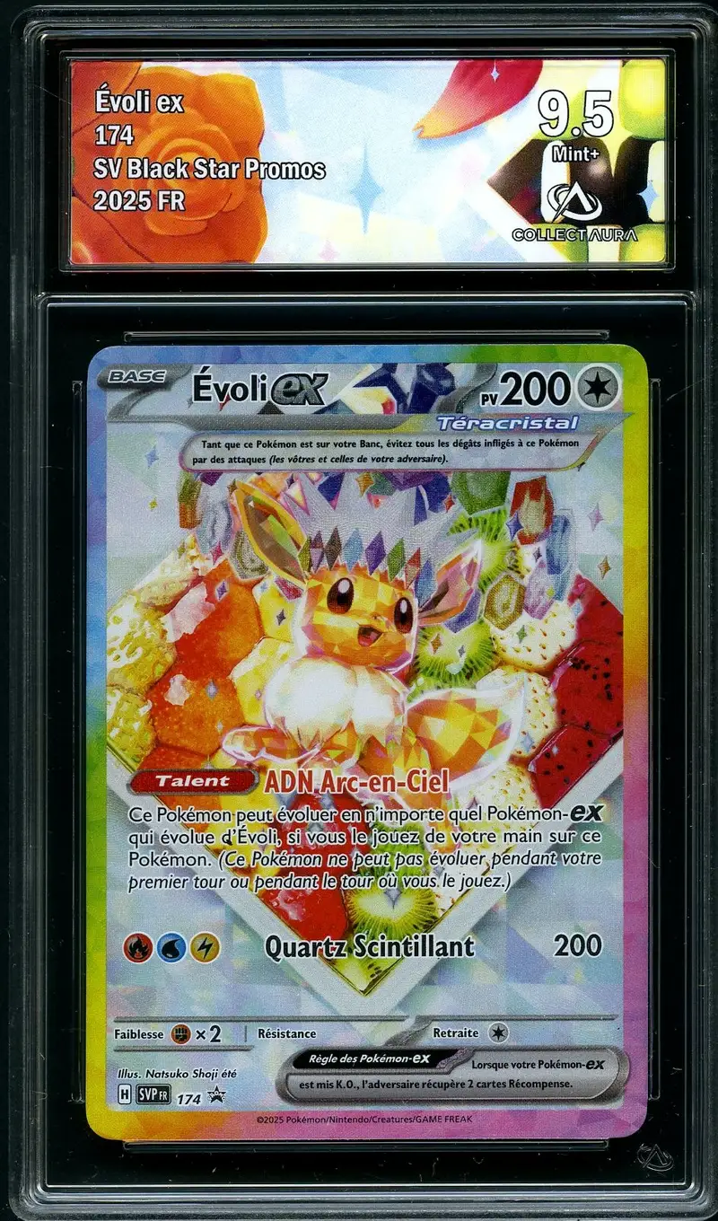 CA 9.5 Evoli Ex