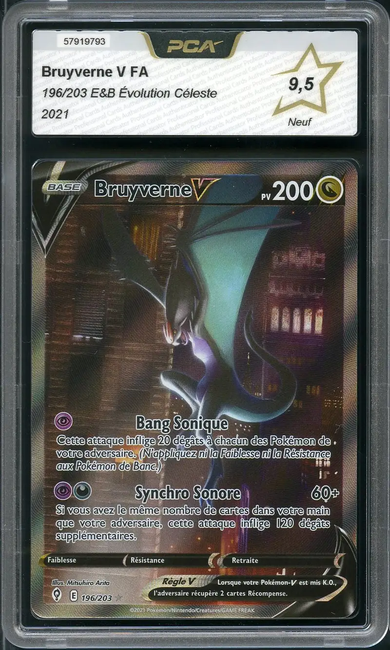 PCA 9.5 Bruyverne V