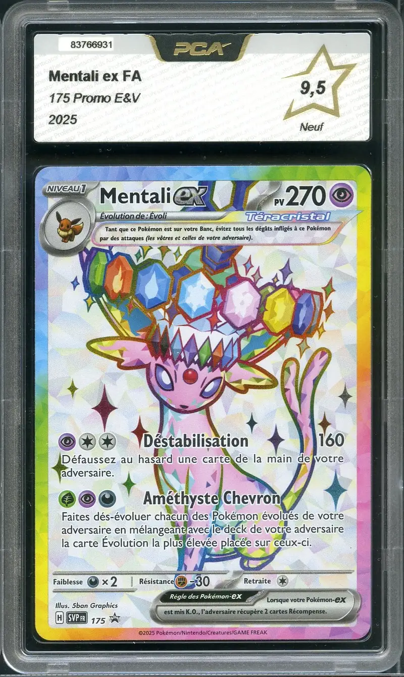 PCA 9.5 Mentali Ex