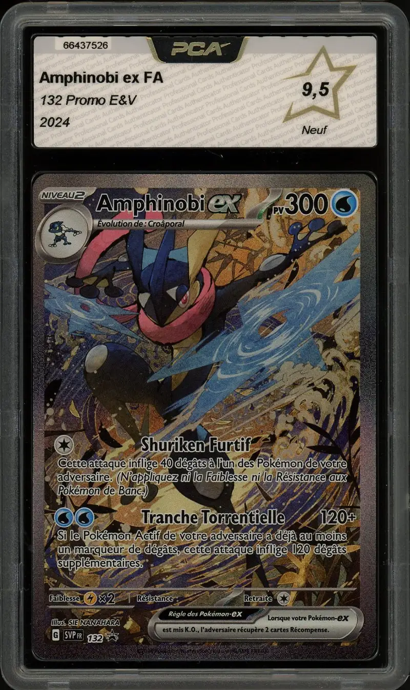 PCA 9.5 Amphinobi Ex