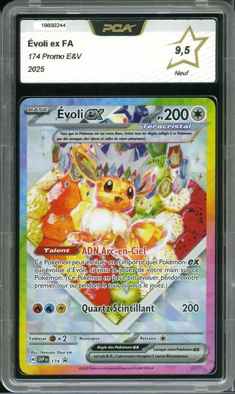 PCA 9.5 Evoli Ex