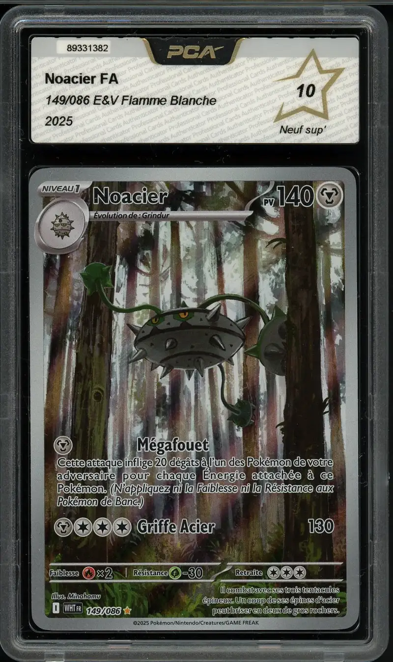 PCA 10 Noacier