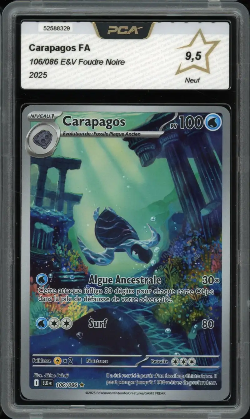 PCA 9.5 Carapagos