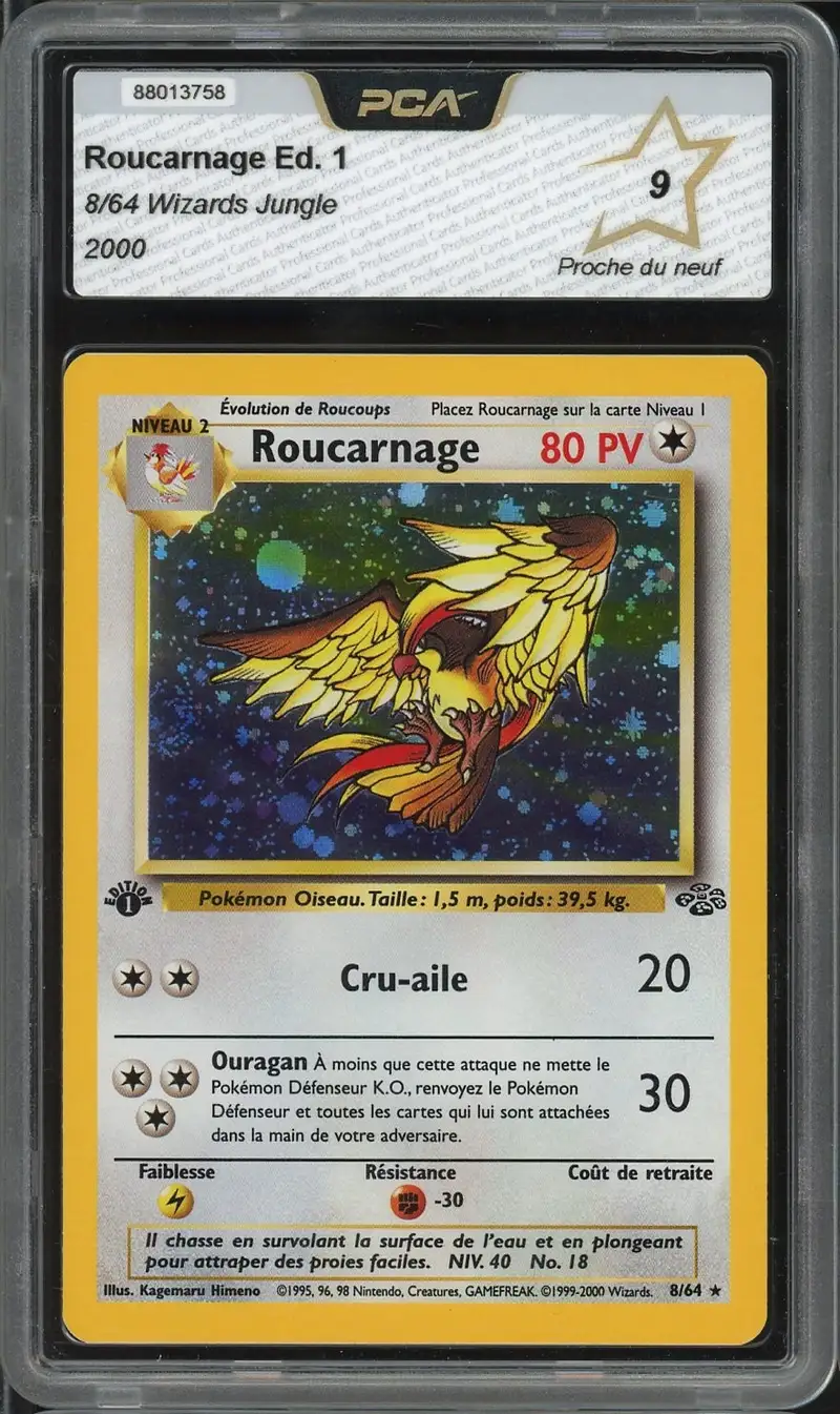 PCA 9 Roucarnage Holo