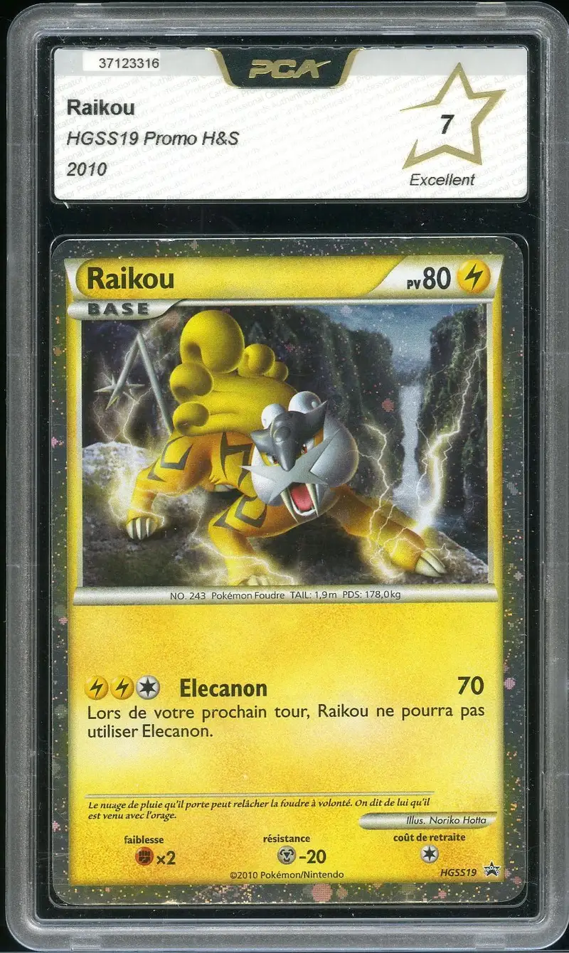 PCA 7 Raikou Holo