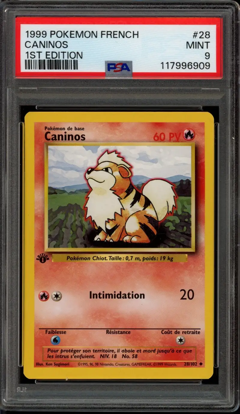 PSA 9 Caninos
