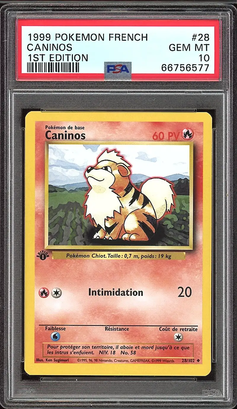 PSA 10 Caninos