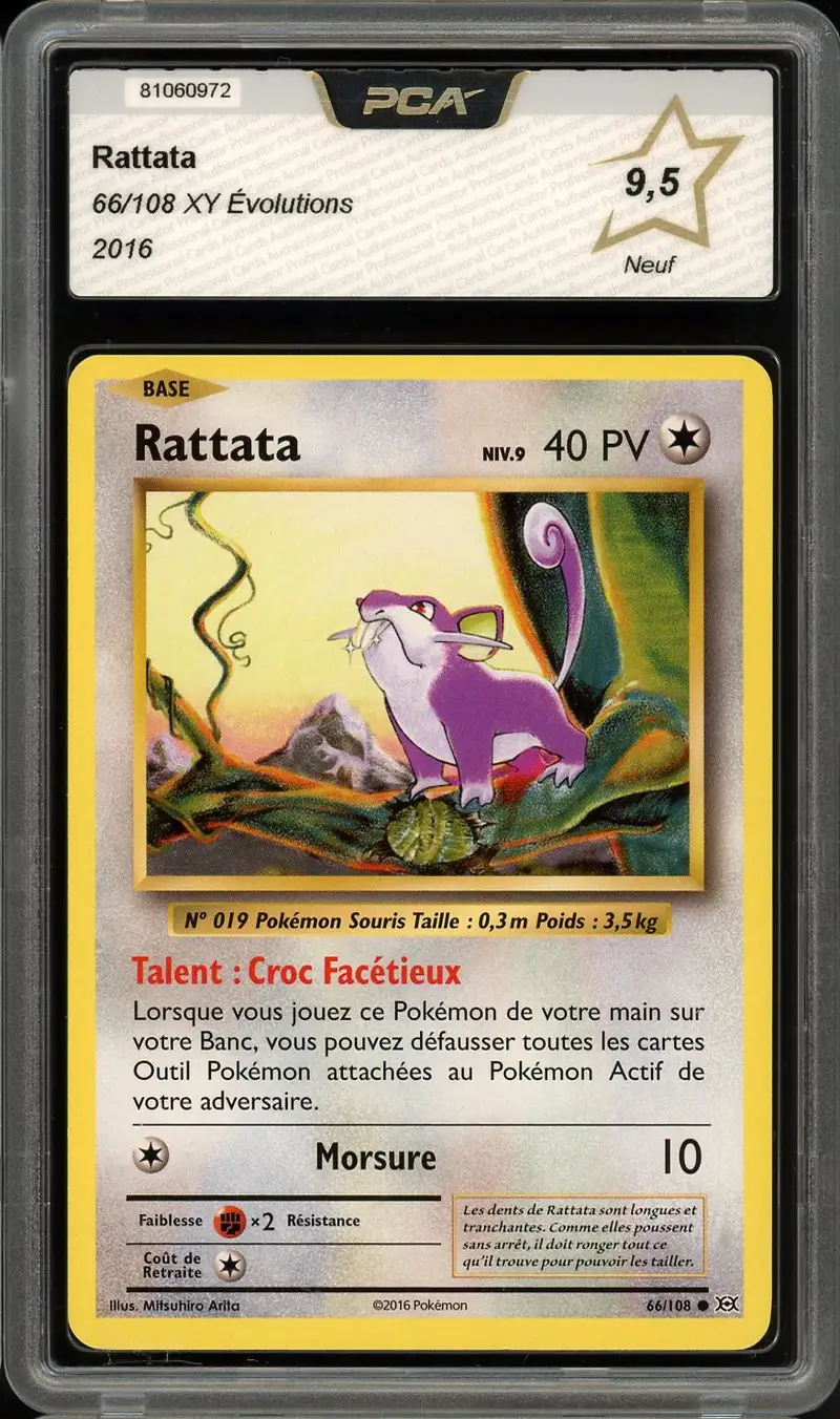 PCA 9.5 Rattata