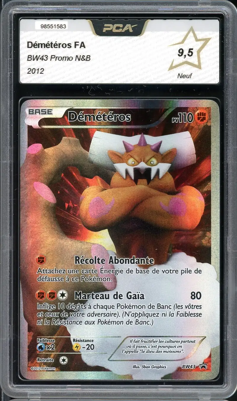 PCA 9.5 Démétéros