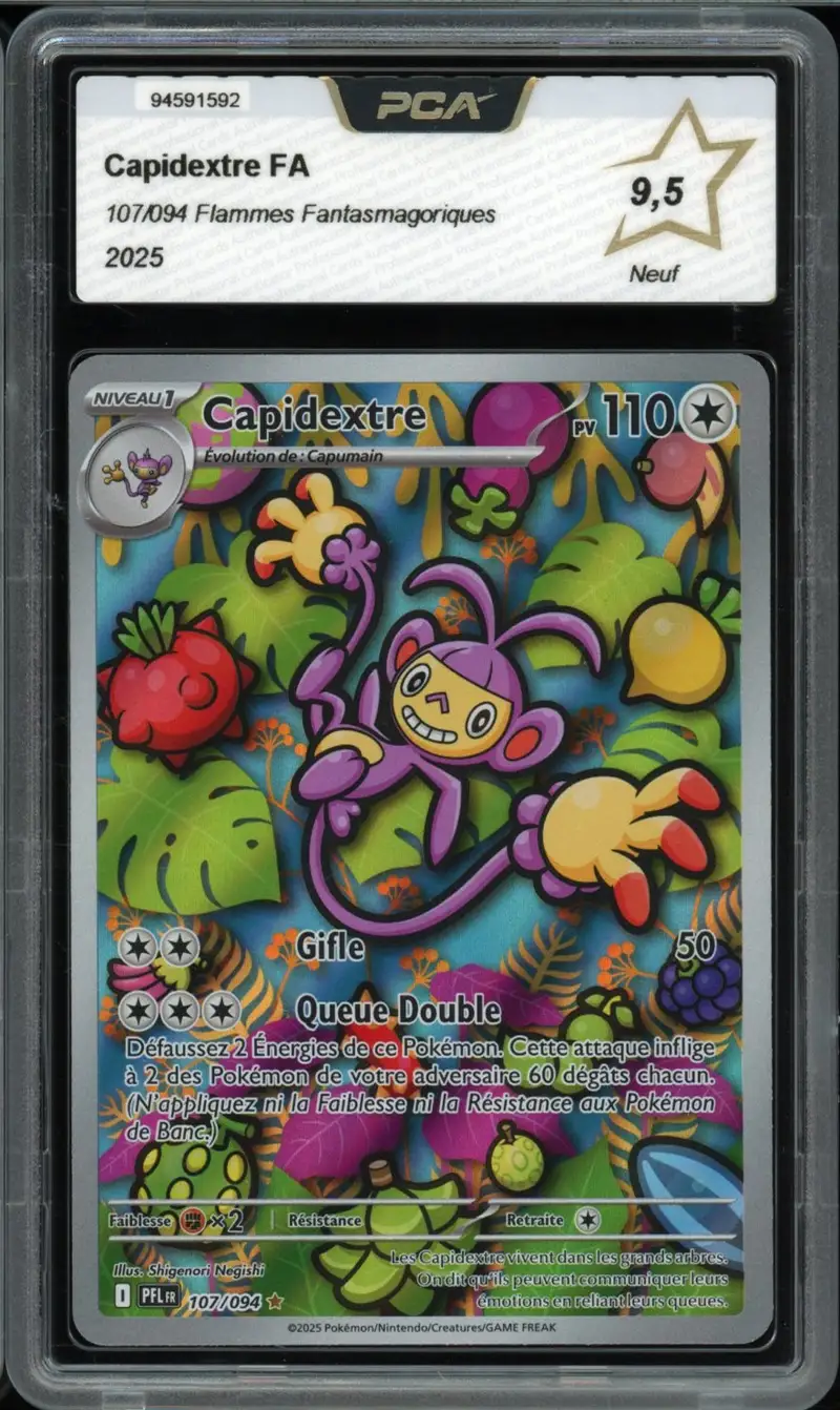 PCA 9.5 Capidextre