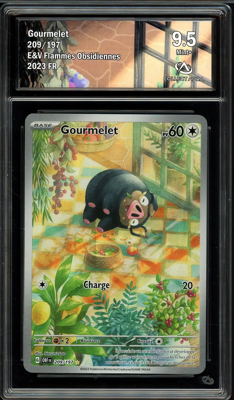 CA 9.5 Gourmelet