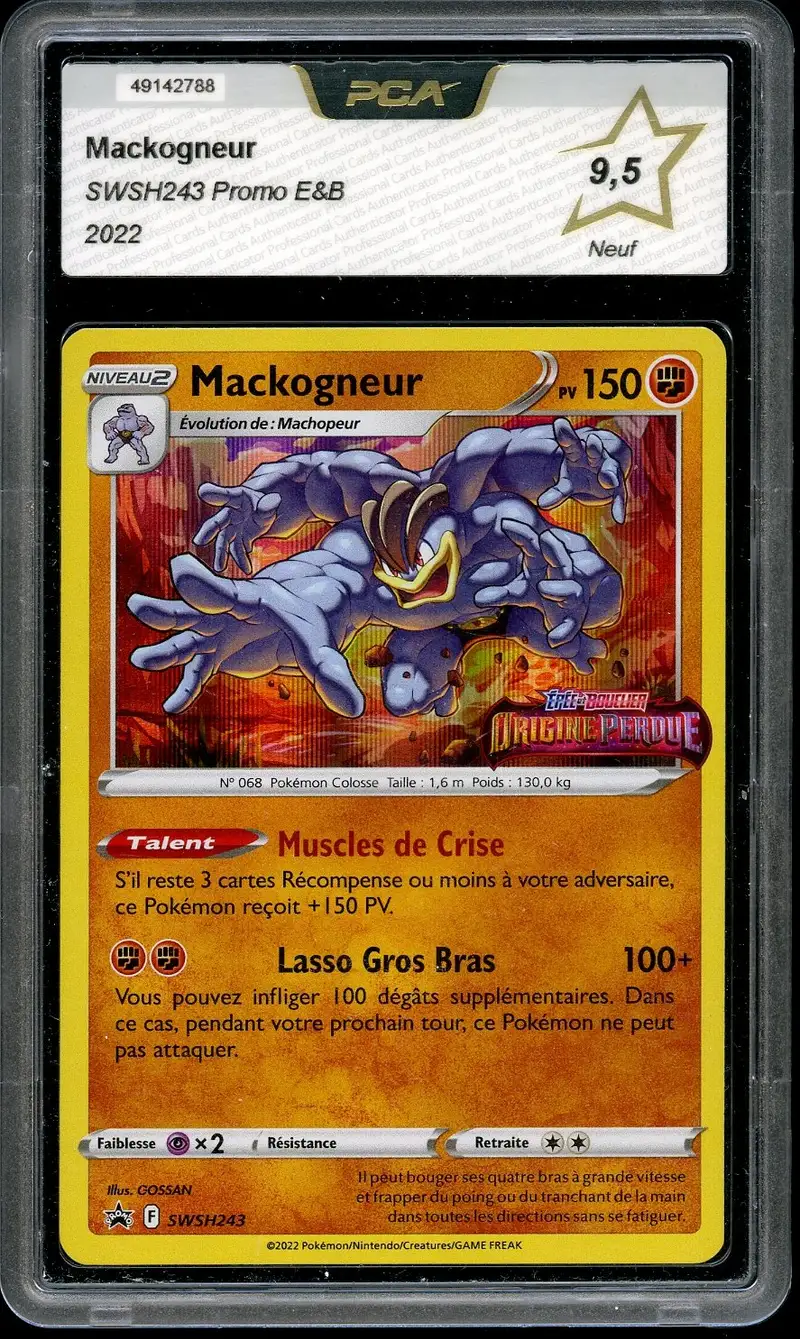 PCA 9.5 Mackogneur