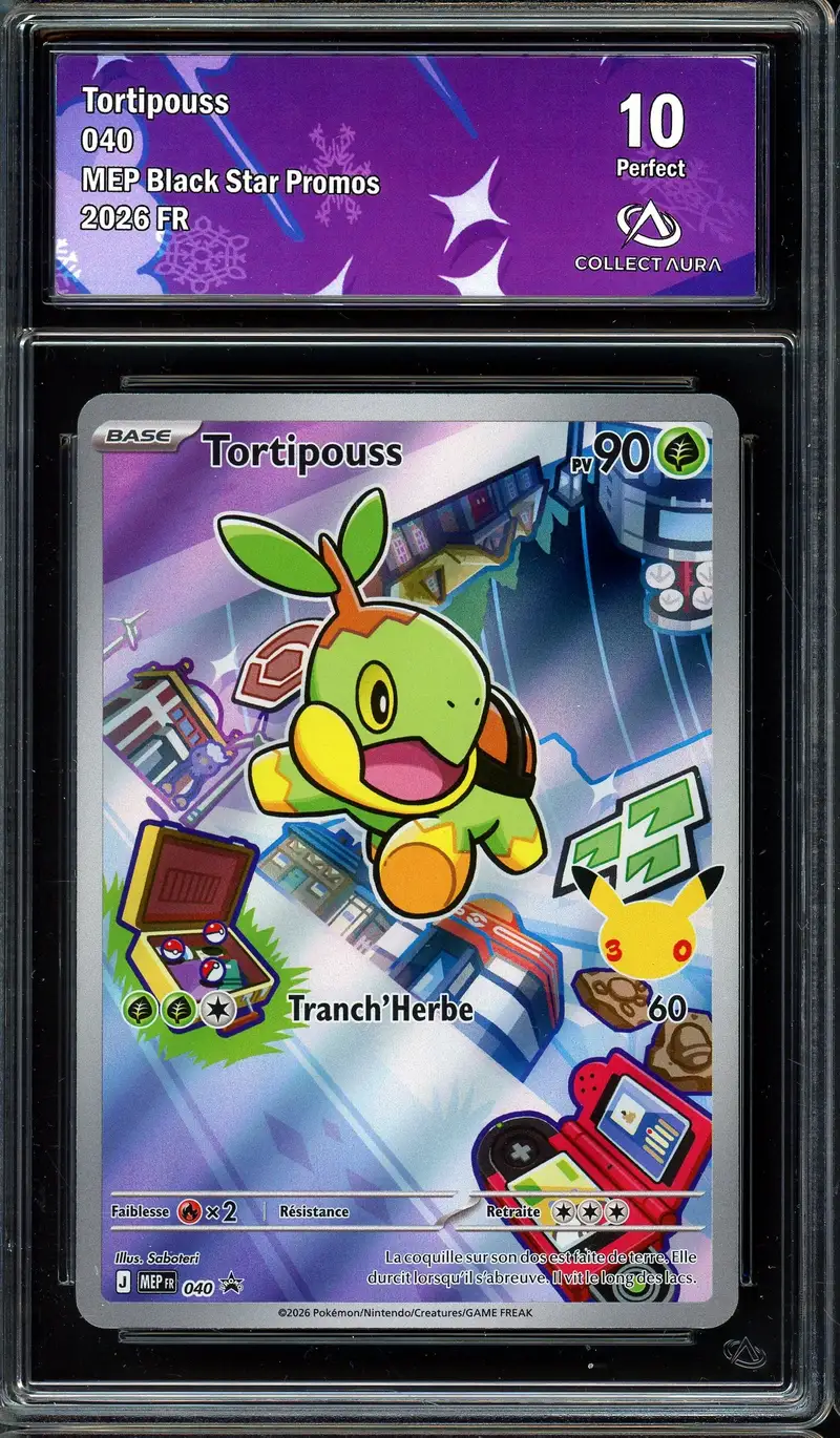 CA 10 Tortipouss