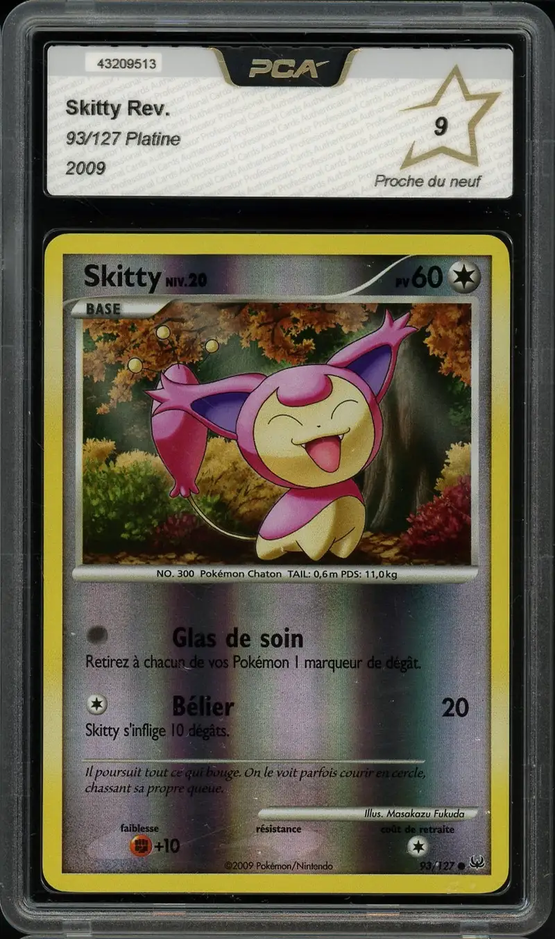 PCA 9 Skitty