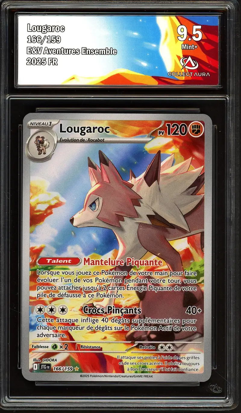 CA 9.5 Lougaroc