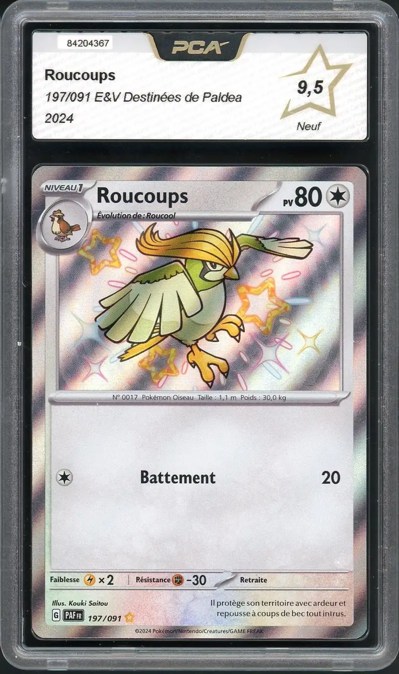 PCA 9.5 Roucoups Shiny