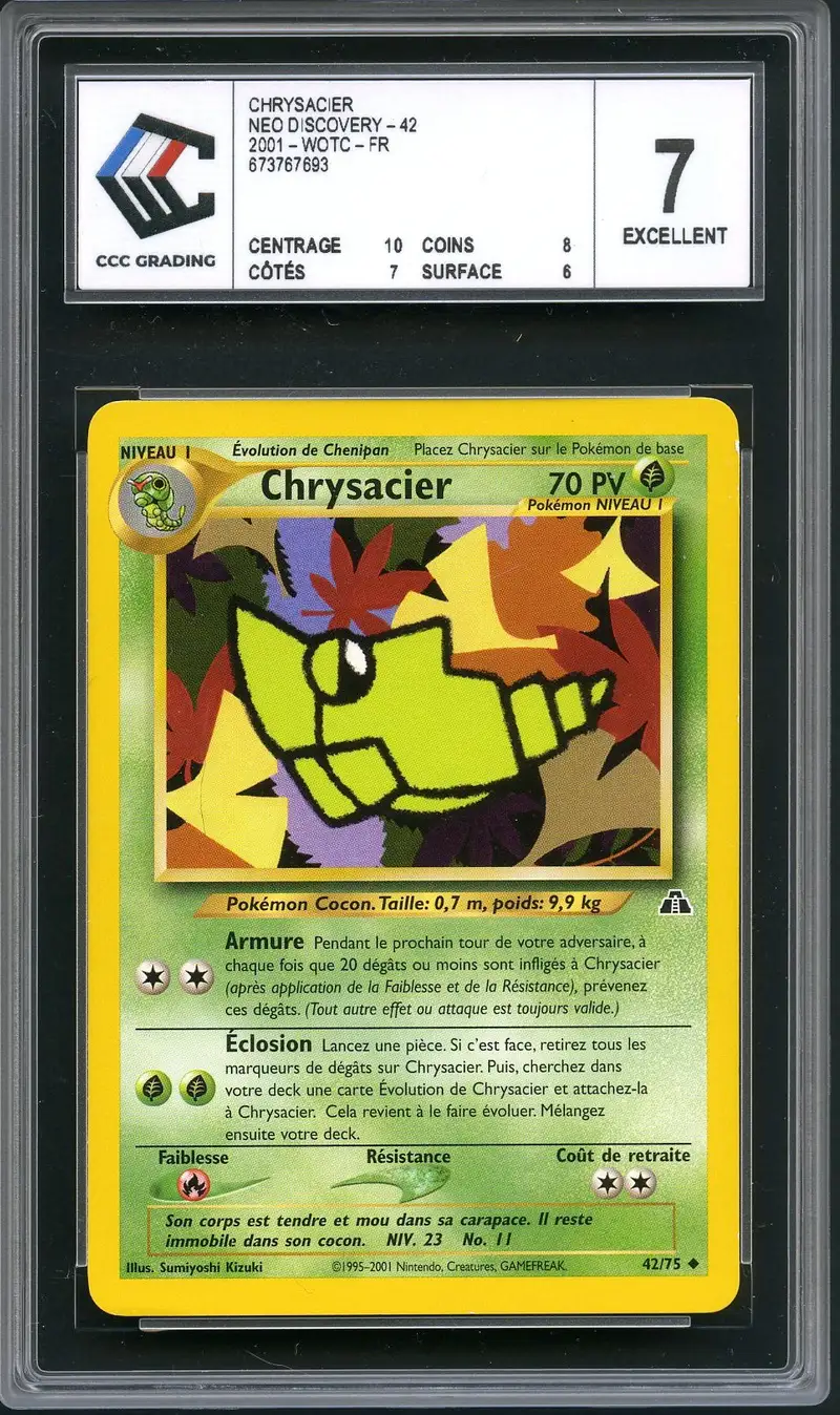 CCC 7 Chrysacier