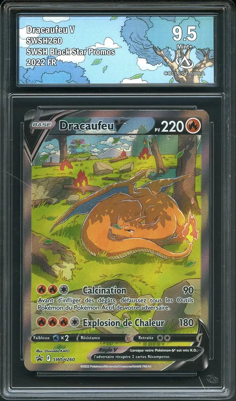 CA 9.5 Dracaufeu V