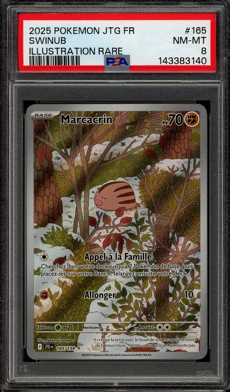 PSA 8 Marcacrin