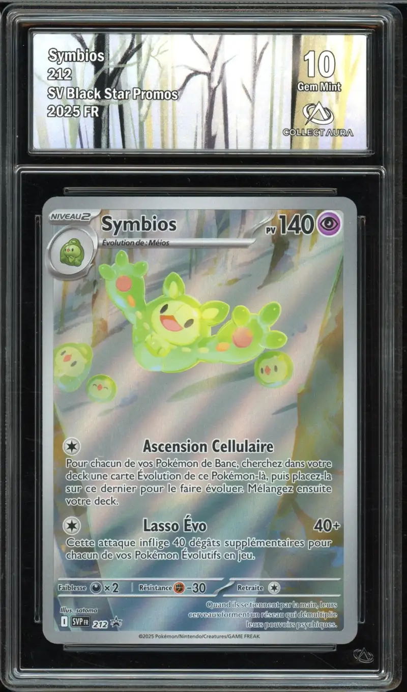 CA 10 Symbios