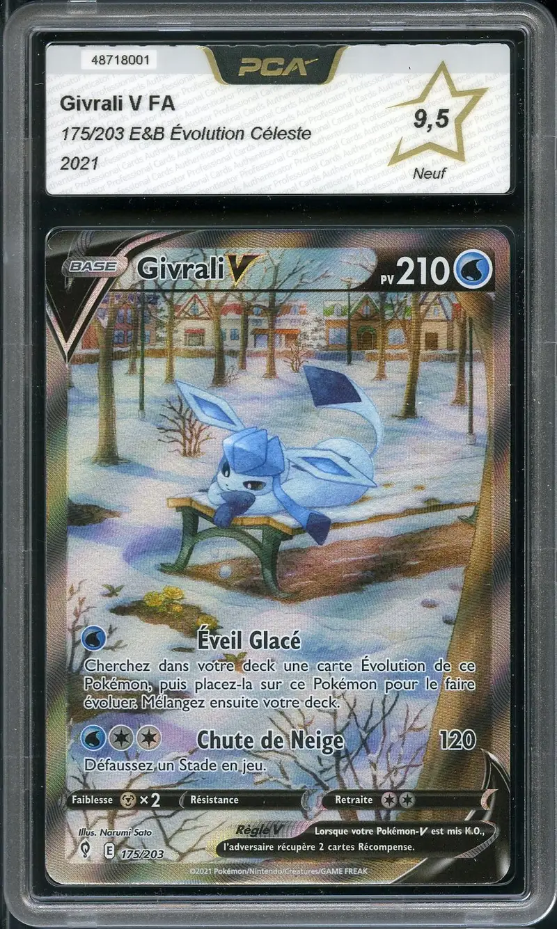 PCA 9.5 Givrali V