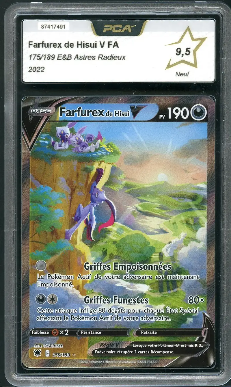 PCA 9.5 Farfurex de Hisui V