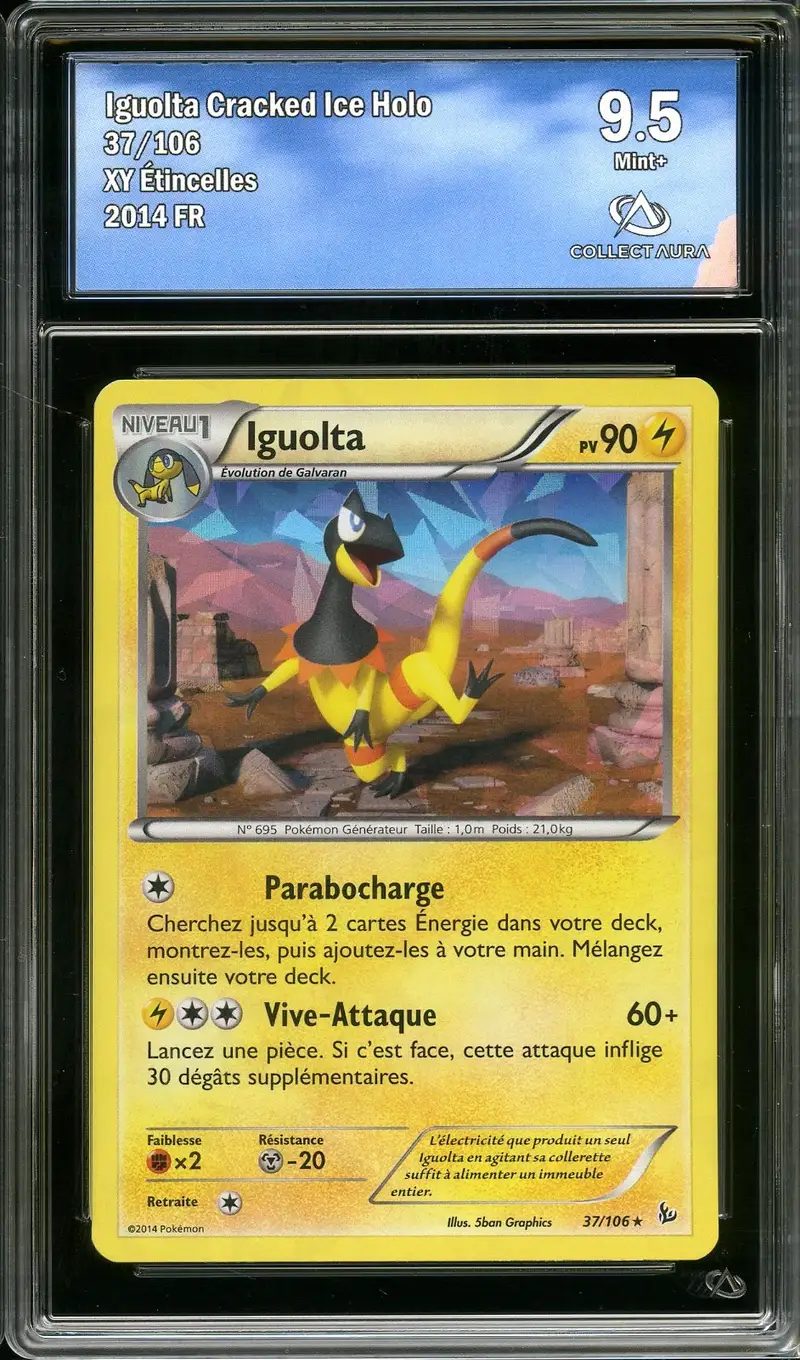 CA 9.5 Iguolta Holo Cracked Ice