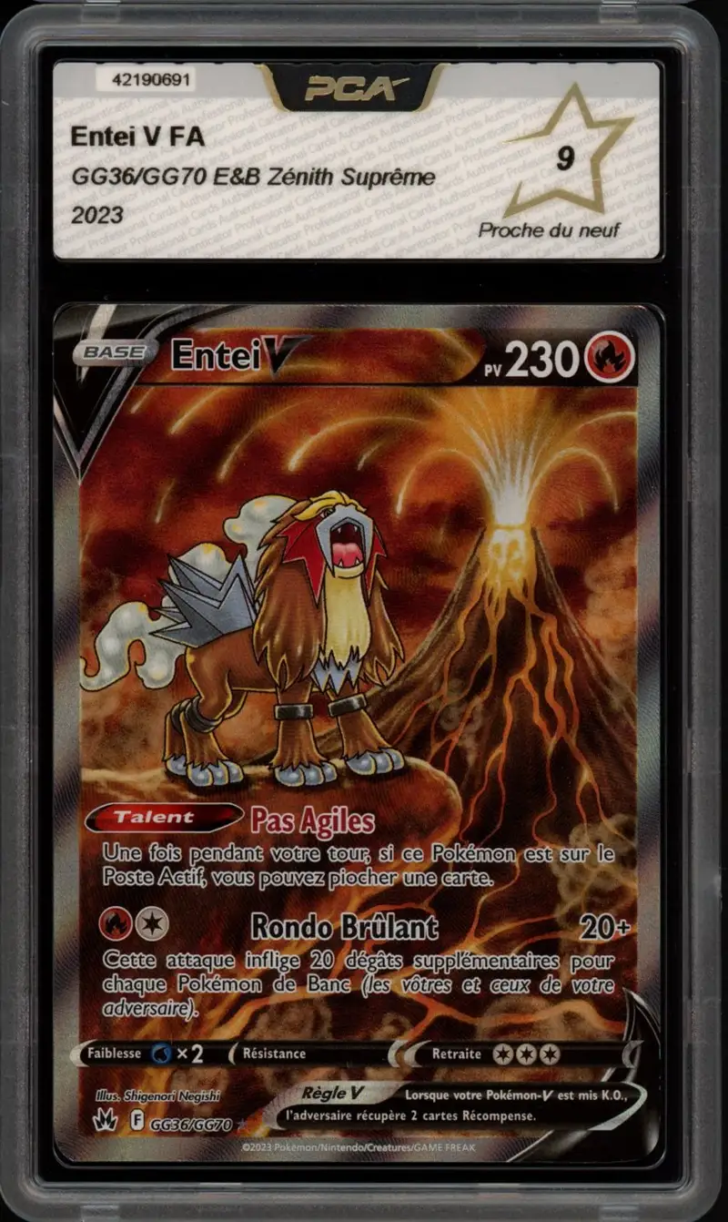 PCA 9 Entei V
