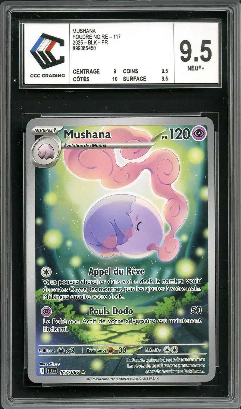 CCC 9.5 Mushana