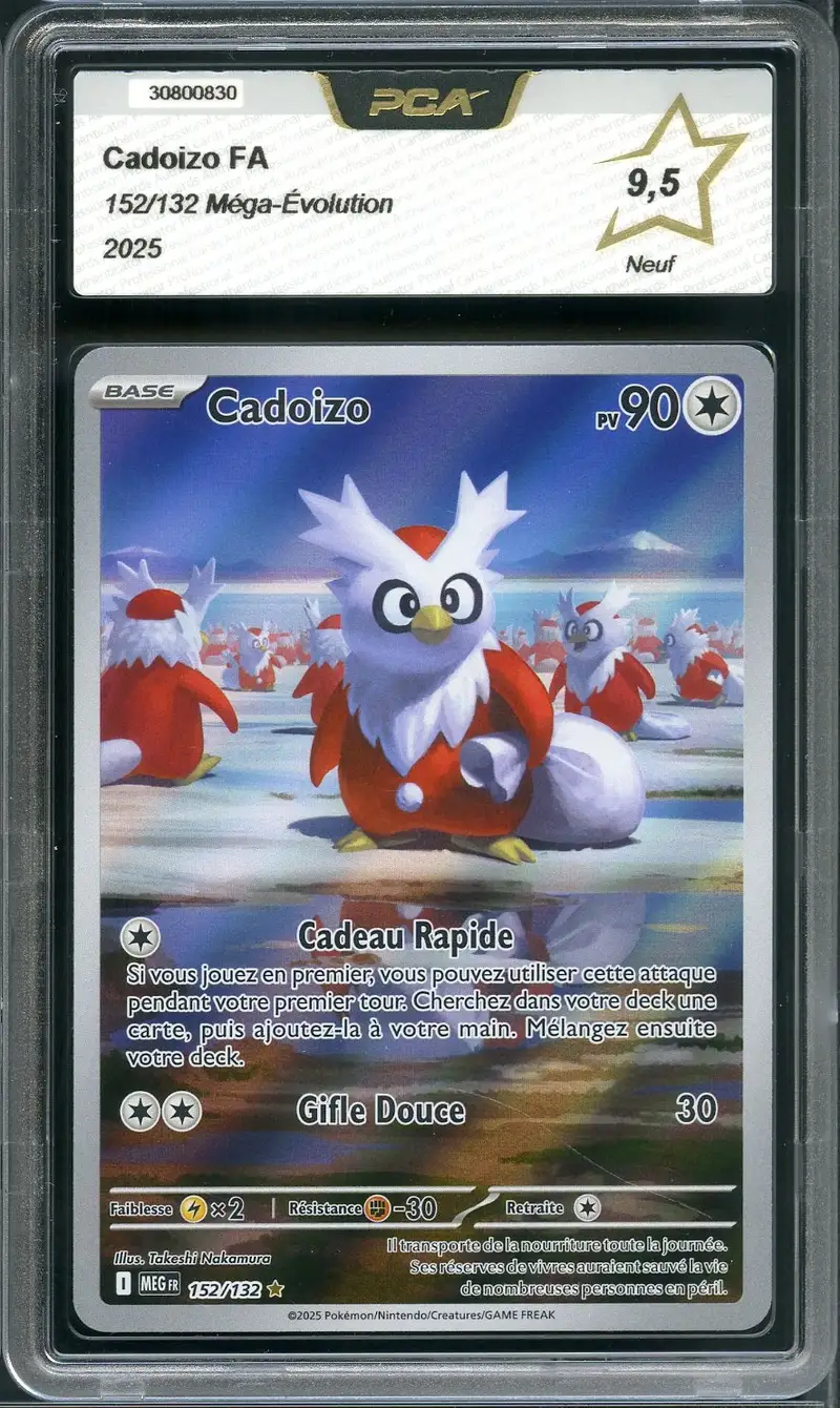 PCA 9.5 Cadoizo