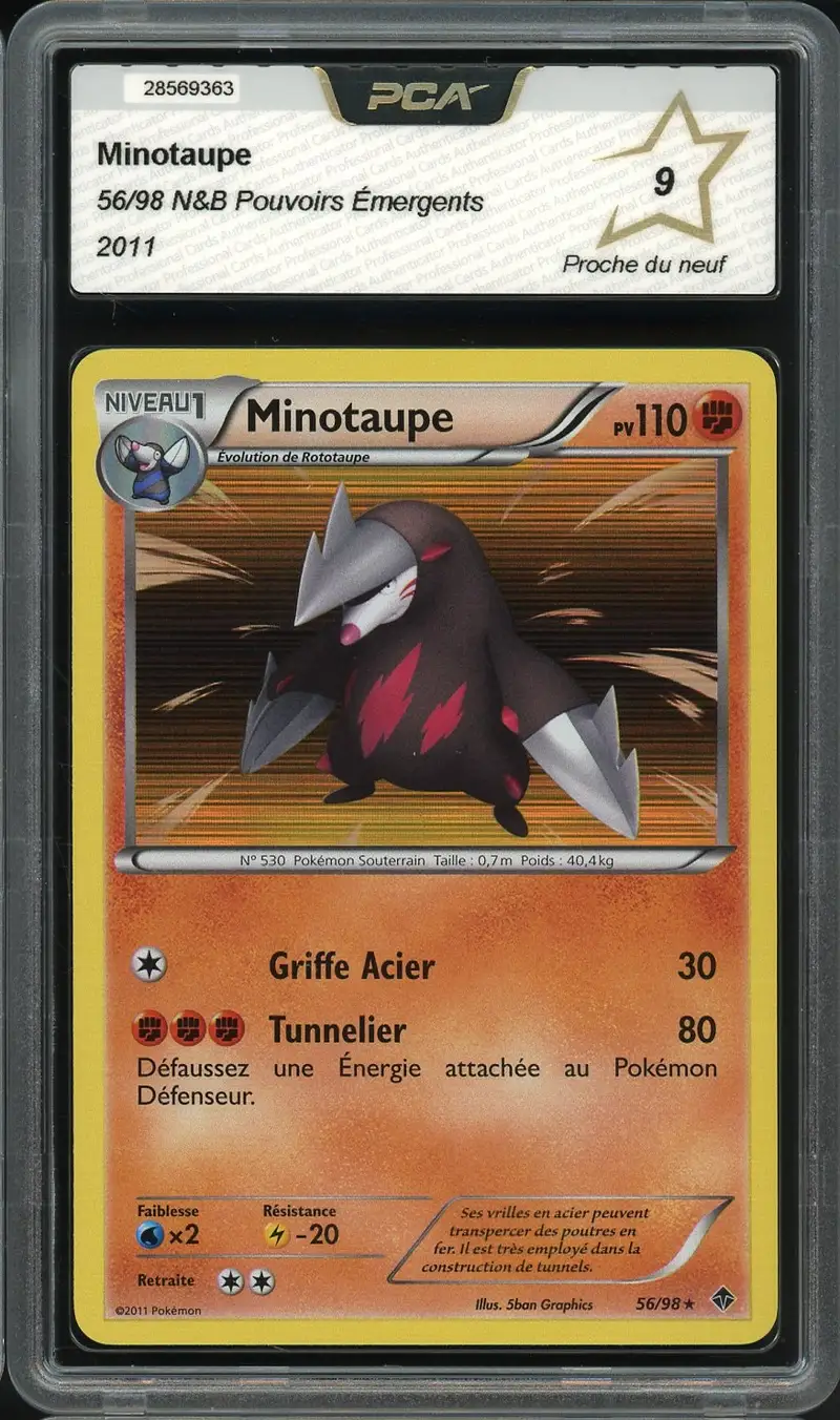 PCA 9 Minotaupe Holo