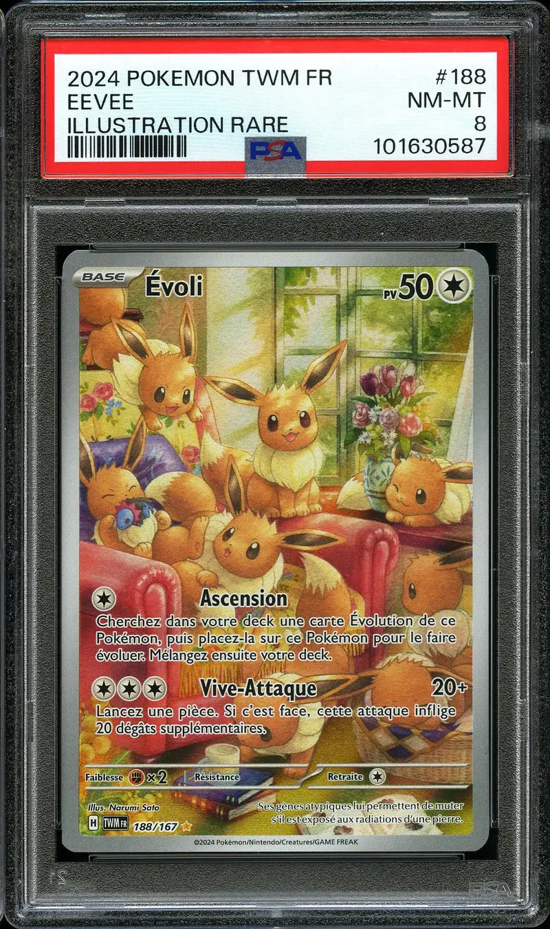 PSA 8 Evoli
