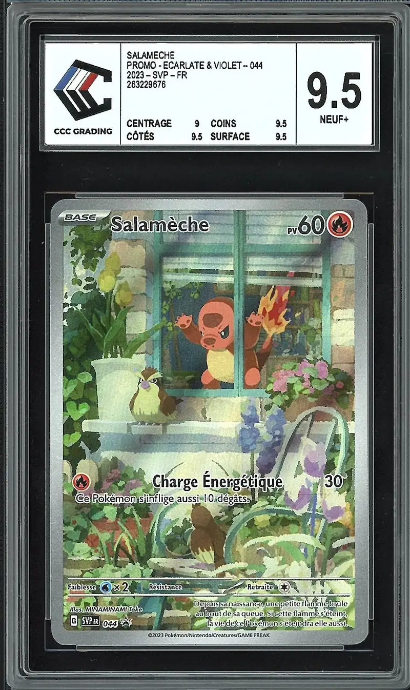 CCC 9.5 Salamèche