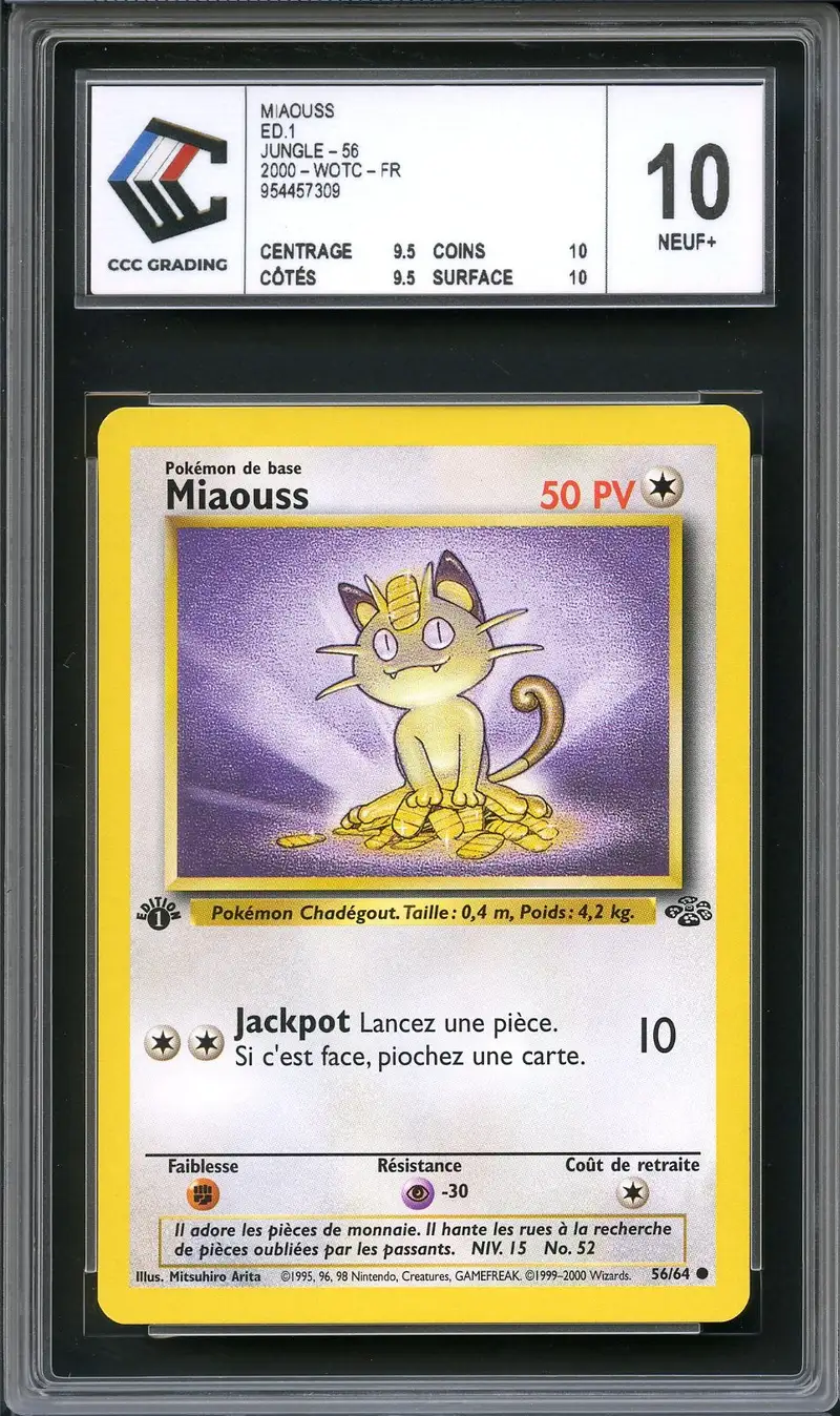 CCC 10 Miaouss