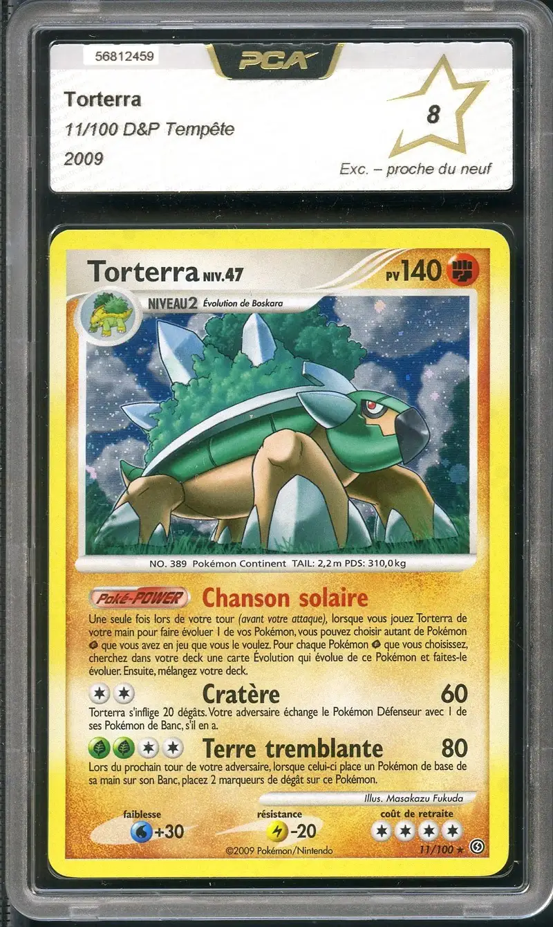 PCA 8 Torterra Holo