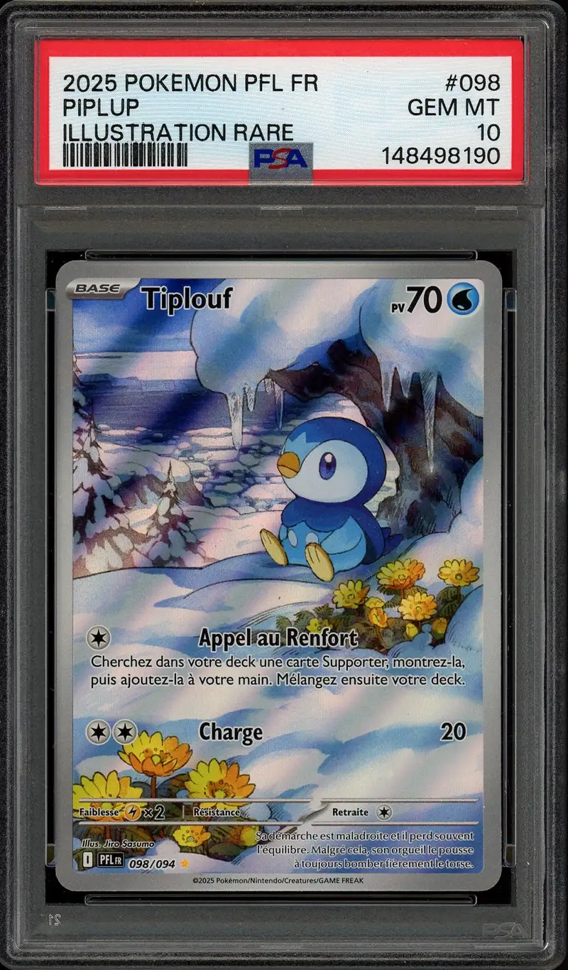 PSA 10 Tiplouf