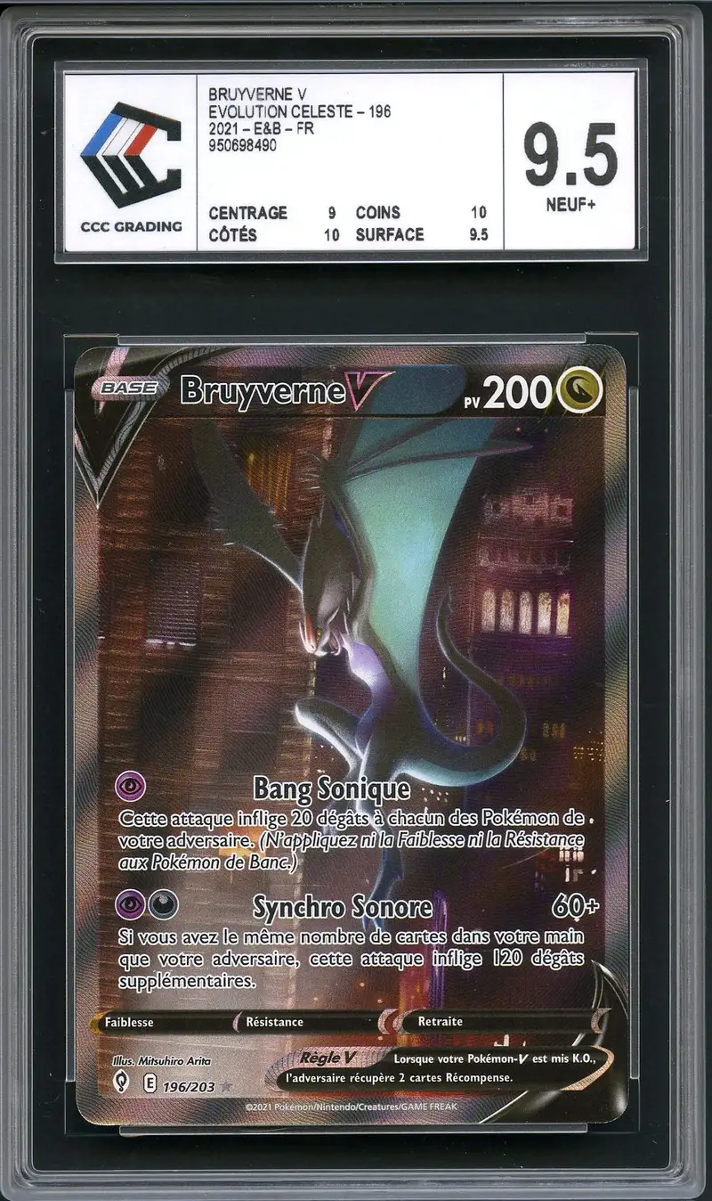 CCC 9.5 Bruyverne V