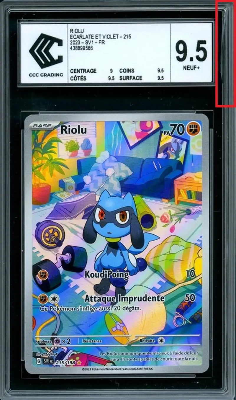 CCC 9.5 Riolu