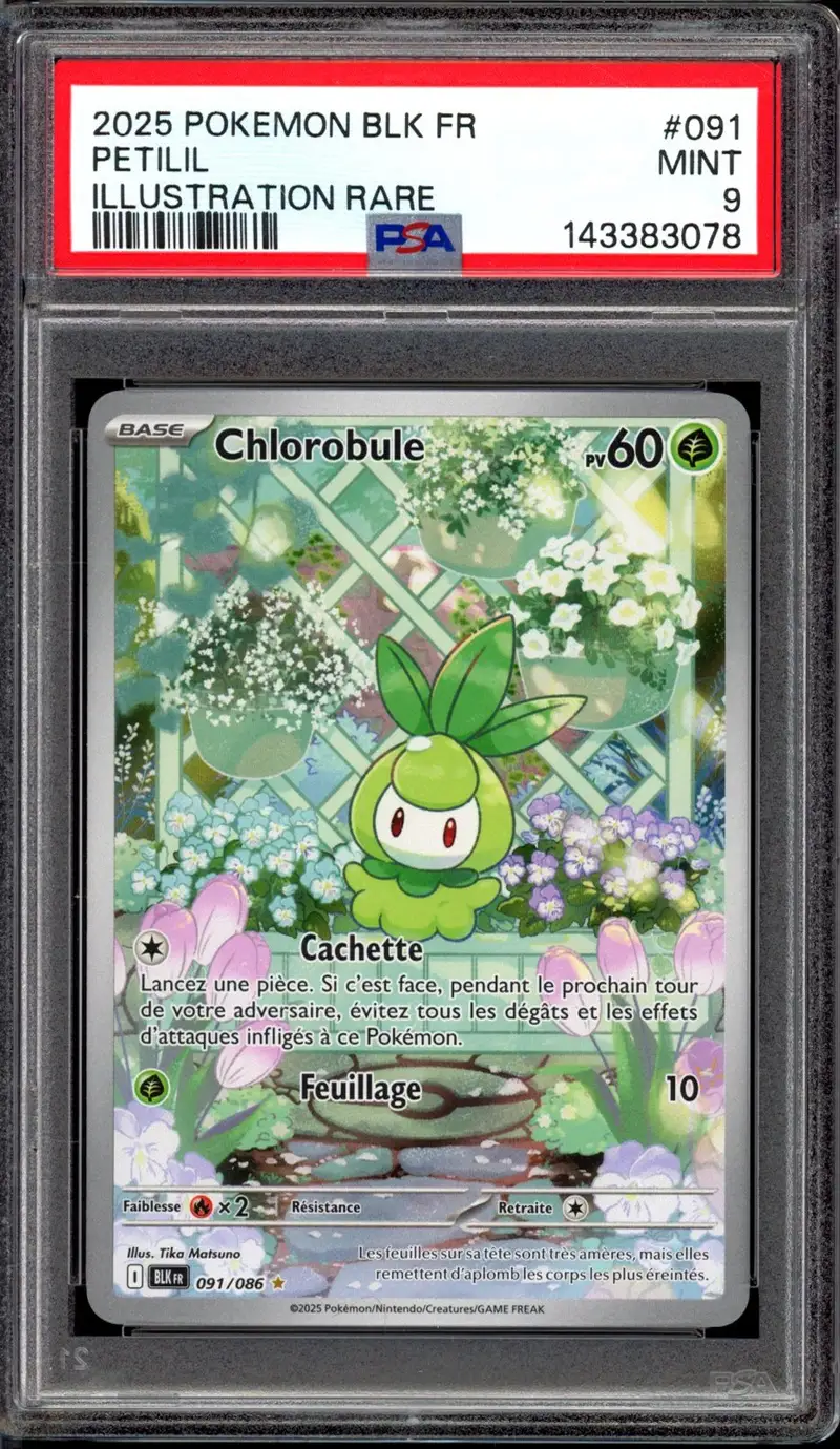 PSA 9 Chlorobule
