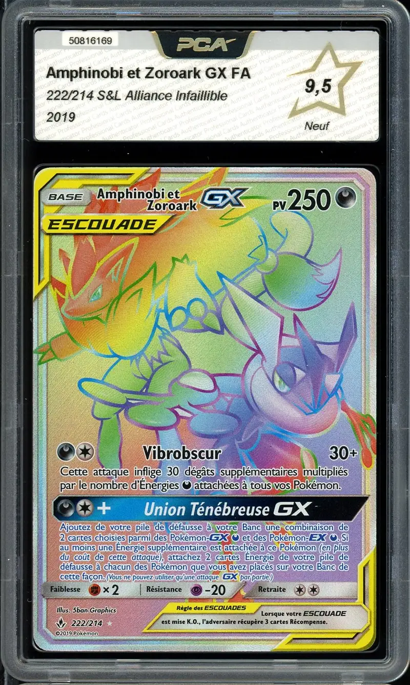 PCA 9.5 Amphinobi et Zoroark Gx Rainbow